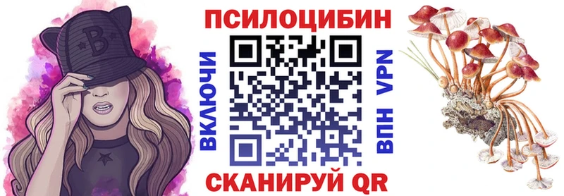 Галлюциногенные грибы Cubensis  Калининск 